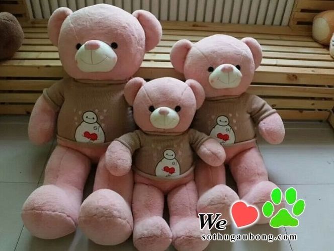 Gấu Teddy áo len baymax hồng